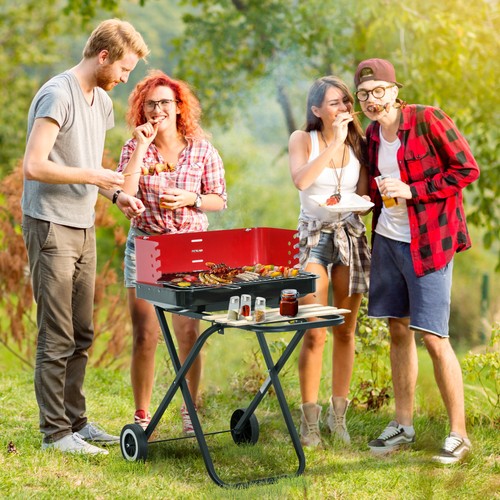 Foldable charcoal trolley - foldable,